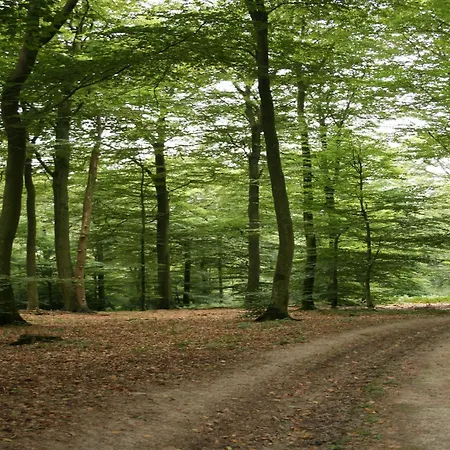 Appartement Family Bouillon And Semois River *