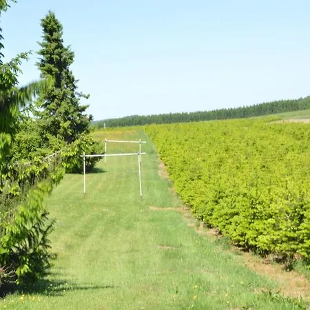 Family Bouillon And Semois River * Gros-Fays