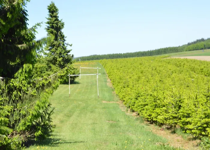 Family Bouillon And Semois River * Gros-Fays